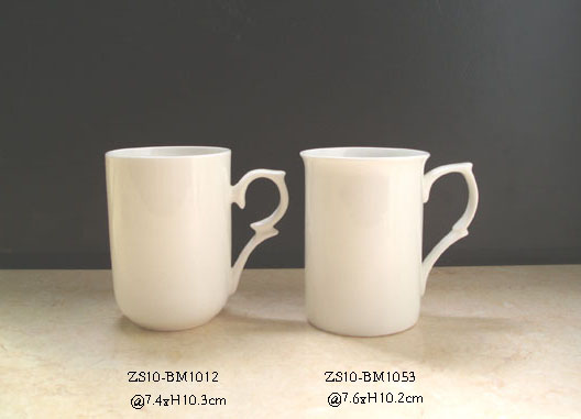 ZS100-BM1053